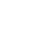 Icono
