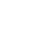 Icono